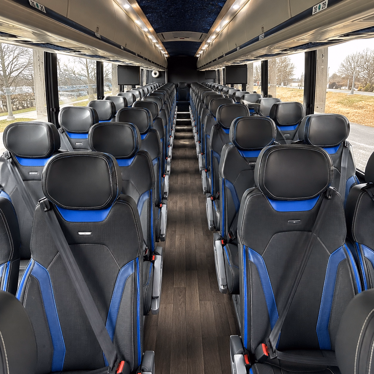 savannah long distance transportation